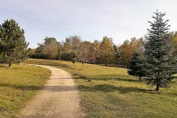 Arboretum à Luxembourg-Kirchberg